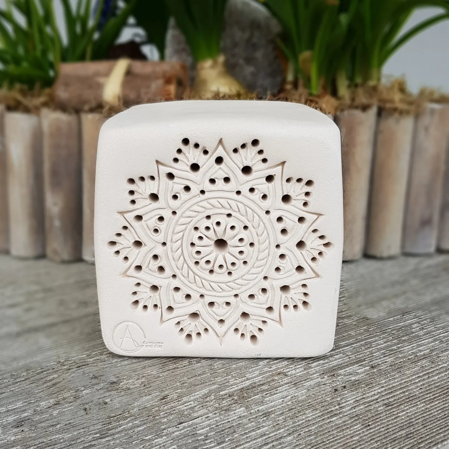 bienenstein-stern-sku-bs-oa-xl004w