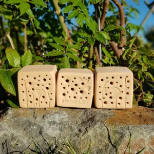 Bienenstein für Wildbienen im "Du bist..."-Motiv mit Farbauswahl und optionalem Lärchen-Holzrahmen (BS-OA-S005)