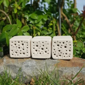 Bienenstein für Wildbienen im "Du bist..."-Motiv mit wählbarer Farbe und optionalem Holzrahmen (BS-OA-S005)