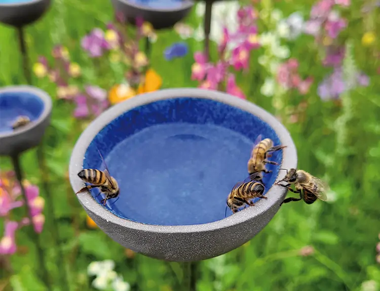Bienentränken