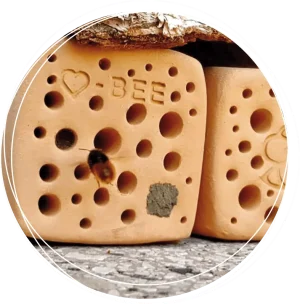 Wissenswertes über Bienenhotel und Nisthilfen für Wildbienen