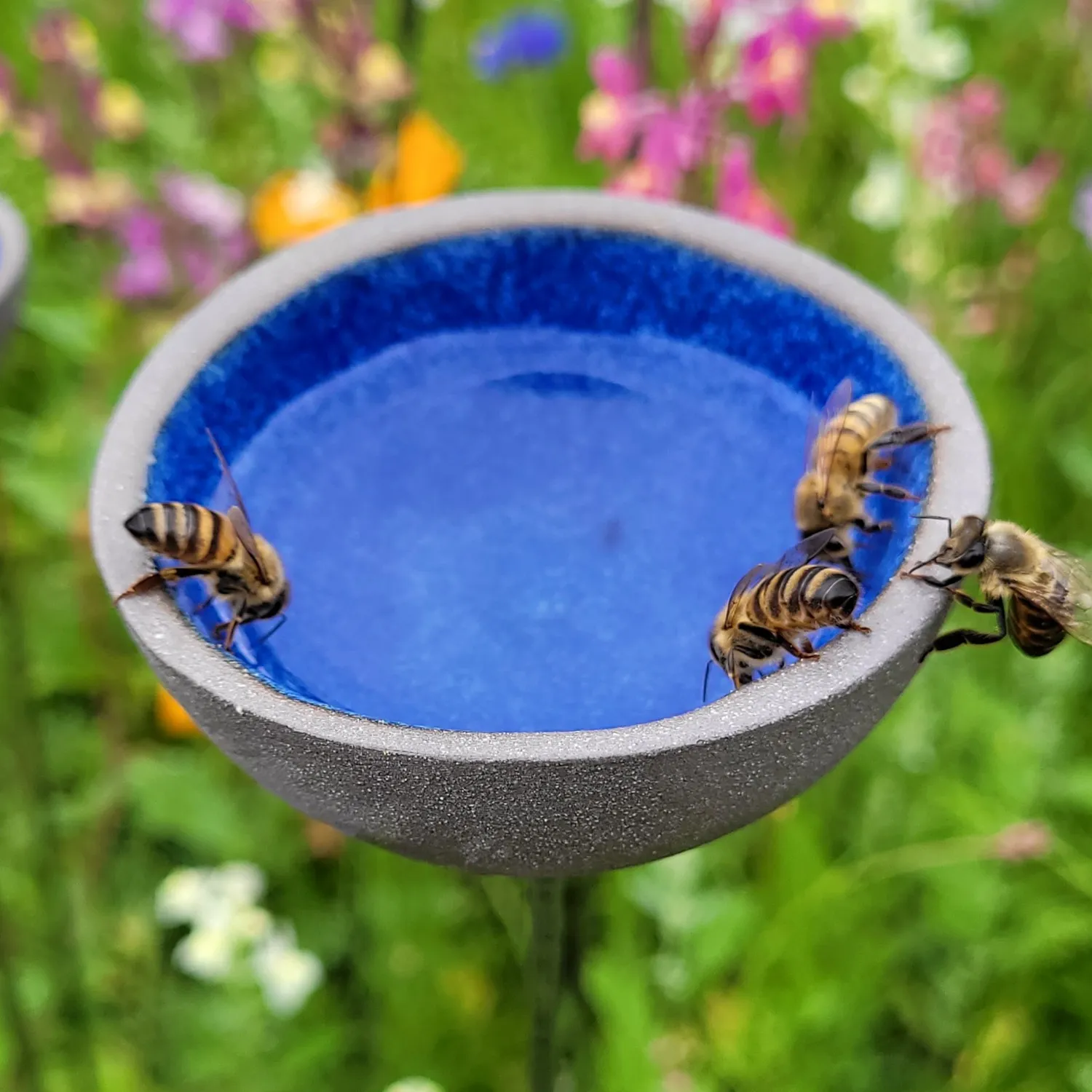 regenfänger-tränke-sku-re-es-s1-biene