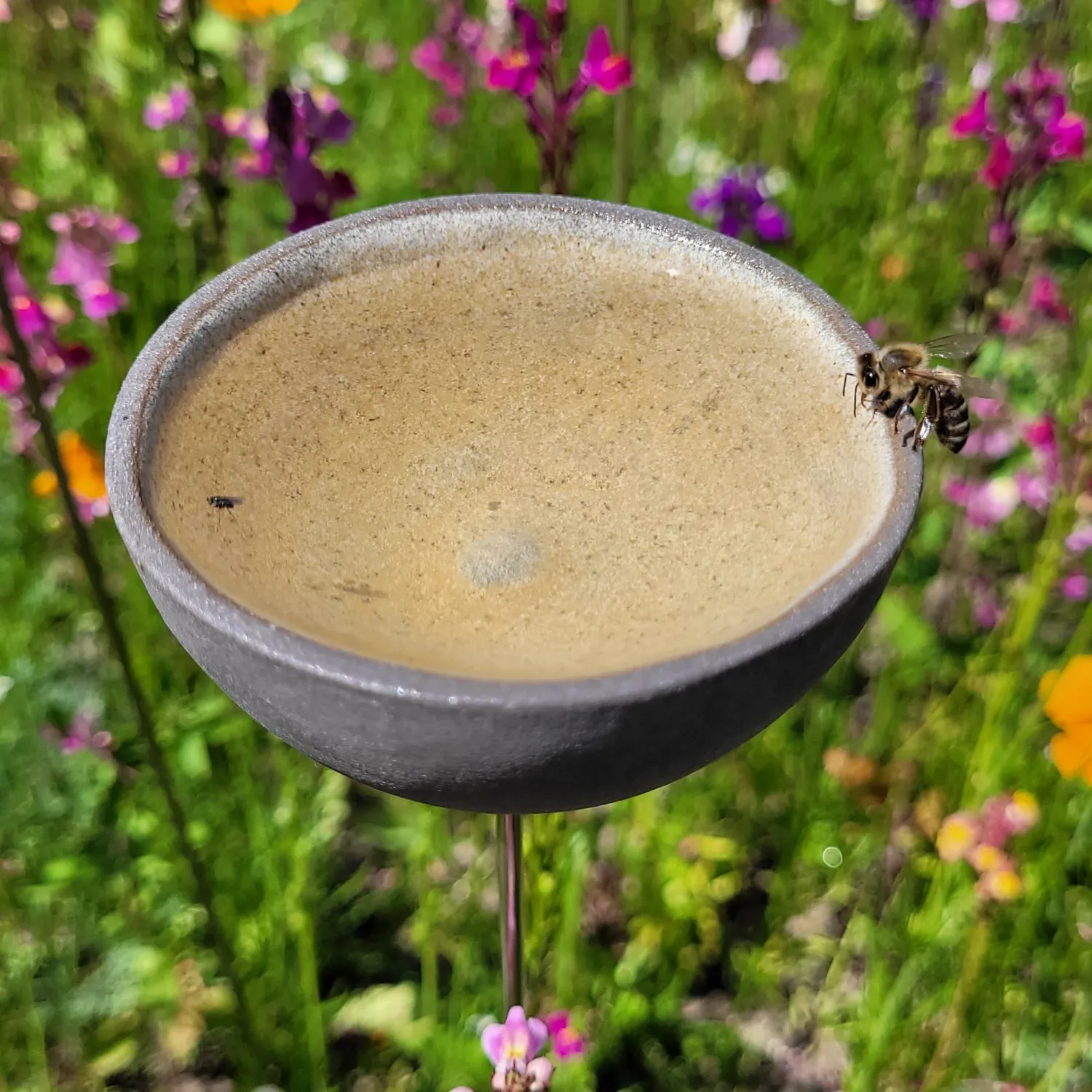 regenfänger-tränke-sku-re-es-s1-blühwiese