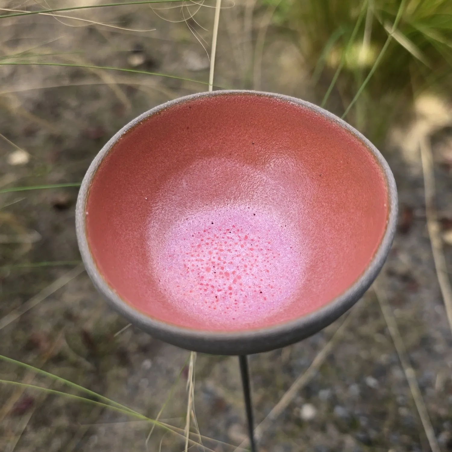 regenfänger-tränke-sku-re-es-s1-effekt