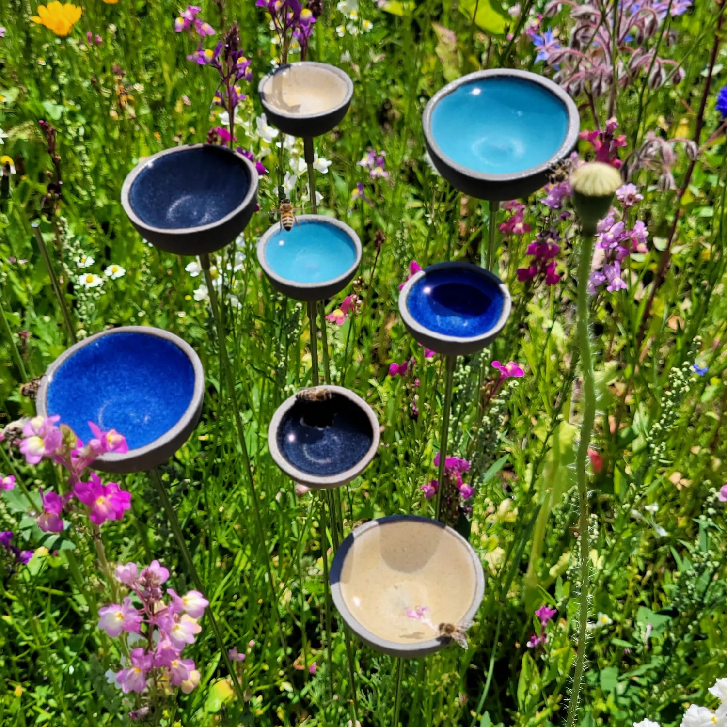 regenfänger-tränke-sku-re-es-s1-gruppe