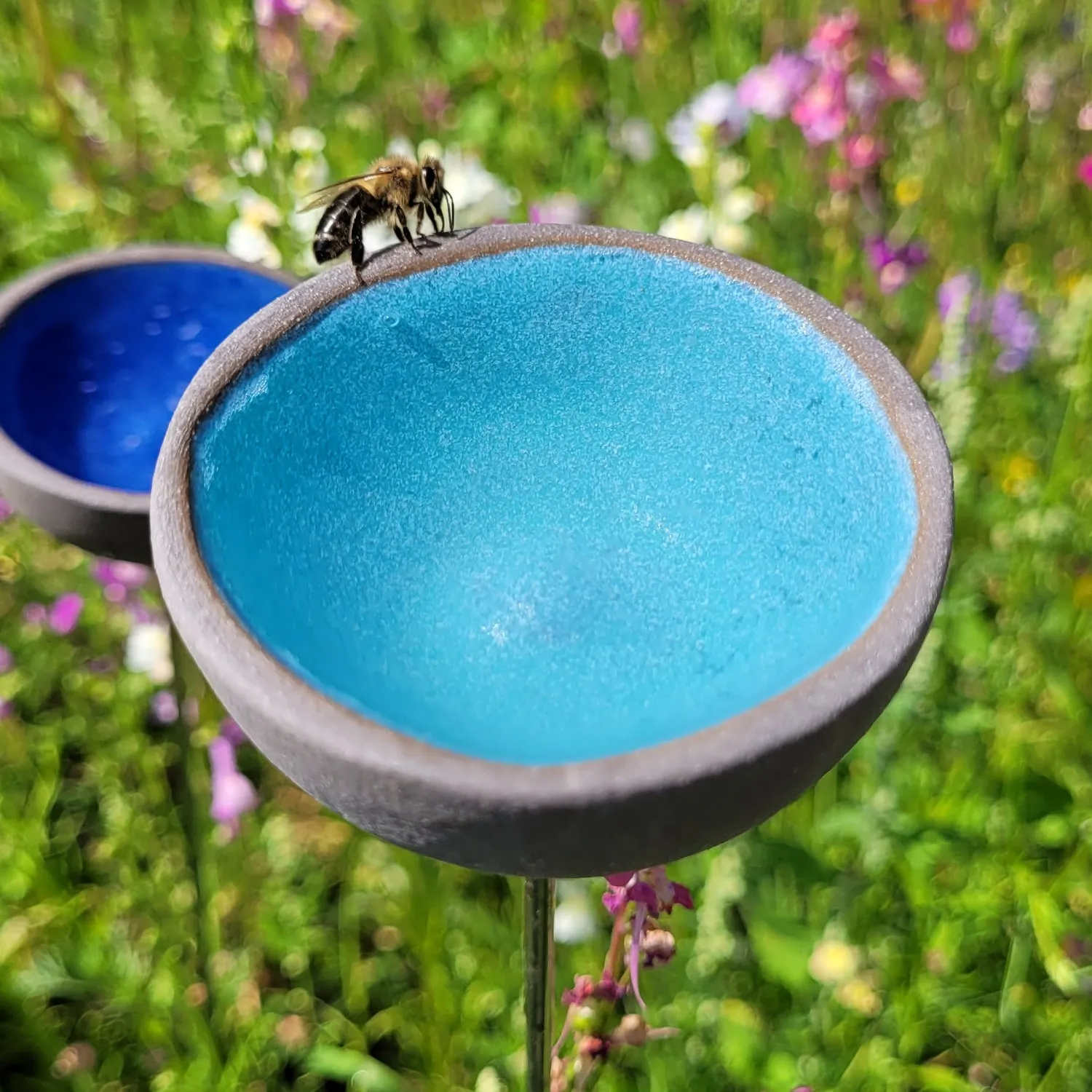 regenfänger-tränke-sku-re-es-s1-schmetterling